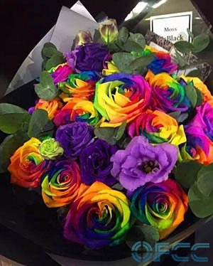 情人节想给TA一个惊喜﹖一束Moss McBlack花店华丽的彩虹玫瑰，或是一盒永不凋谢的玫瑰盒花，都一定能为TA带来最浪漫的惊喜～