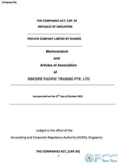 新加坡公司章程