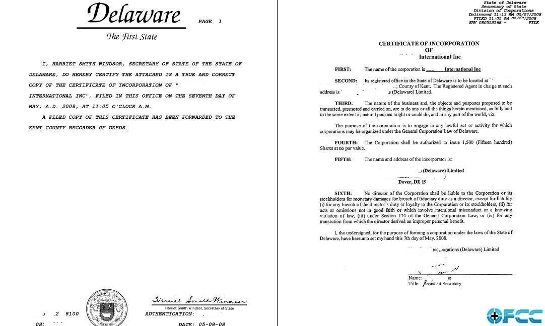 注册美国特拉华公司(或德拉瓦)Delaware(图1)